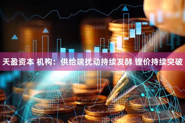 天盈资本 机构：供给端扰动持续发酵 锂价持续突破