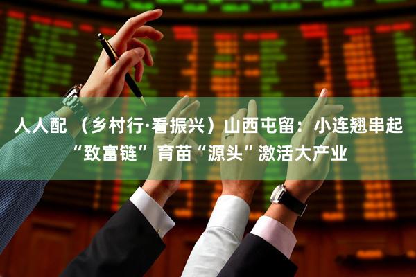 人人配 （乡村行·看振兴）山西屯留：小连翘串起“致富链” 育苗“源头”激活大产业