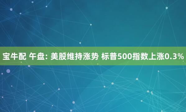 宝牛配 午盘: 美股维持涨势 标普500指数上涨0.3%