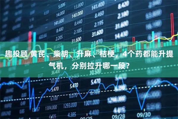 趣投顾 黄芪、柴胡、升麻、桔梗，4个药都能升提气机，分别拉升哪一段？