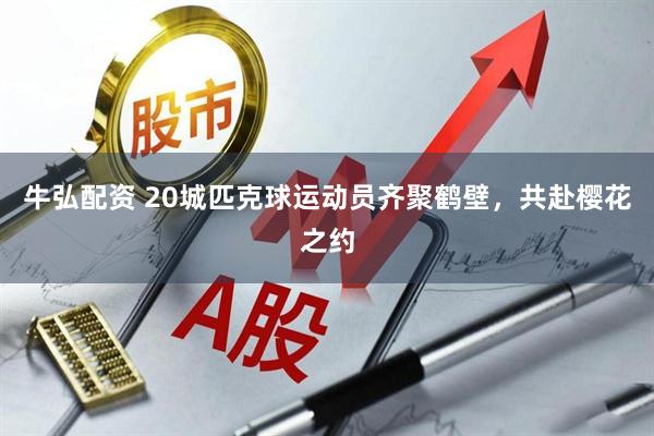 牛弘配资 20城匹克球运动员齐聚鹤壁，共赴樱花之约